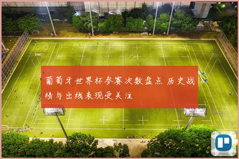 葡萄牙世界杯参赛次数盘点 历史战绩与出线表现受关注
