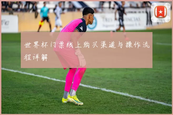 世界杯门票线上购买渠道与操作流程详解