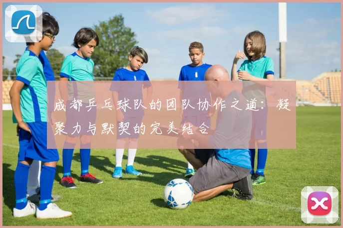 成都乒乓球队的团队协作之道:凝聚力与默契的完美结合