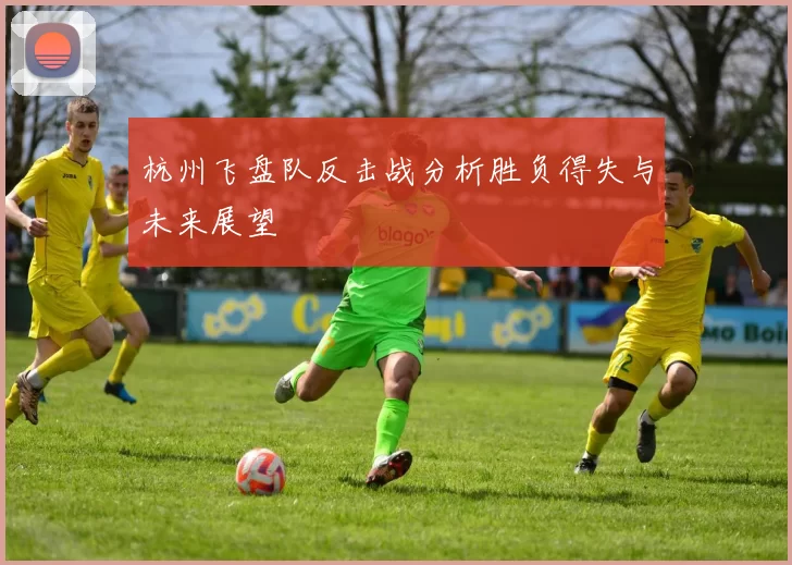 杭州飞盘队反击战分析胜负得失与未来展望
