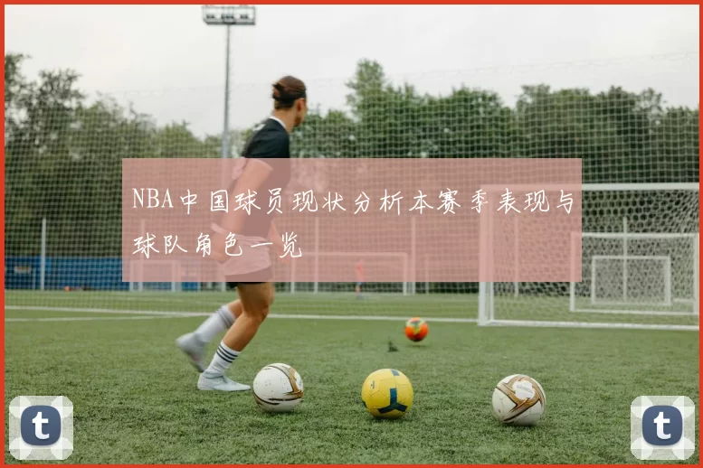 NBA中国球员现状分析本赛季表现与球队角色一览