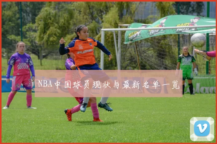 NBA中国球员现状与最新名单一览