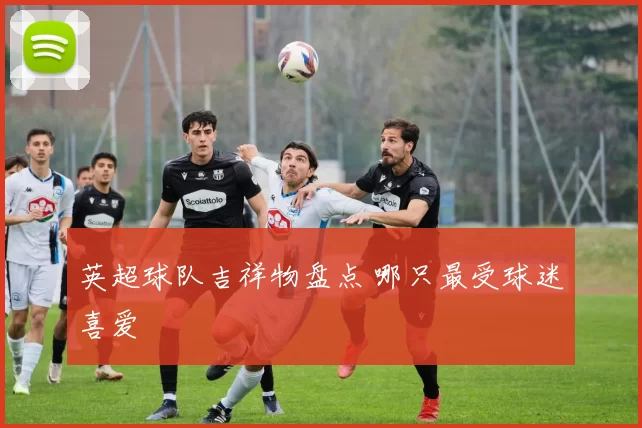 英超球队吉祥物盘点 哪只最受球迷喜爱