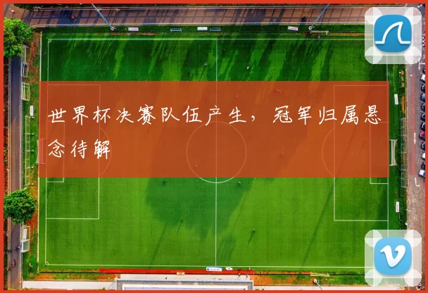 世界杯决赛队伍产生，冠军归属悬念待解