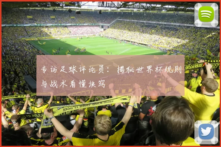 专访足球评论员:揭秘世界杯规则与战术看懂诀窍