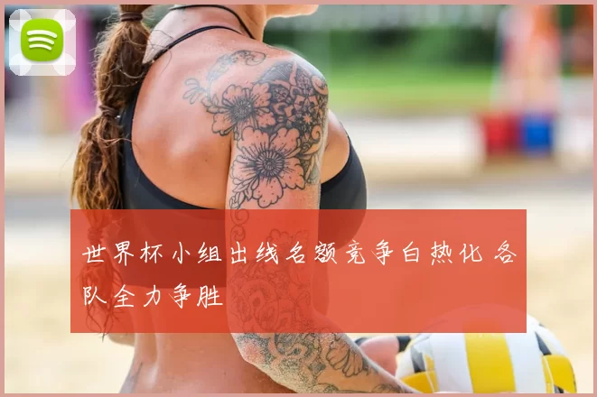 世界杯小组出线名额竞争白热化 各队全力争胜