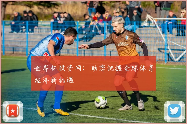 世界杯投资网：助您把握全球体育经济新机遇