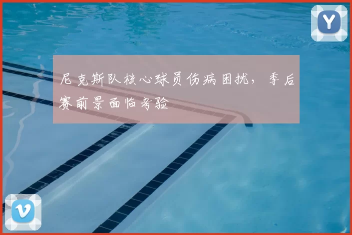尼克斯队核心球员伤病困扰,季后赛前景面临考验
