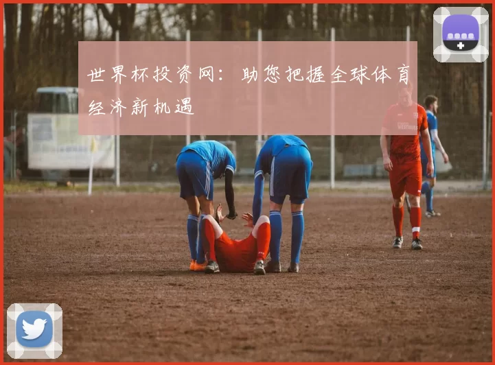世界杯投资网：助您把握全球体育经济新机遇