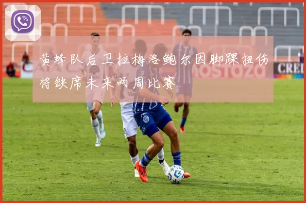黄蜂队后卫拉梅洛鲍尔因脚踝扭伤将缺席未来两周比赛