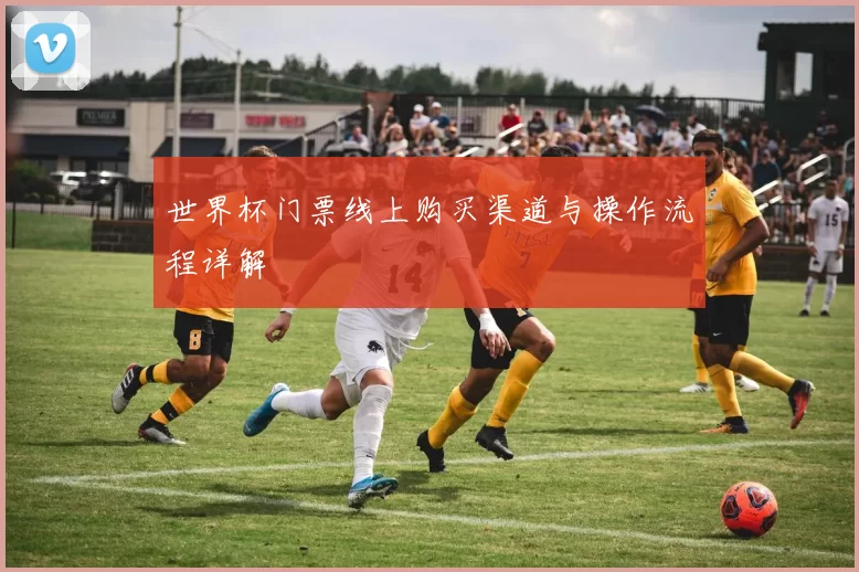世界杯门票线上购买渠道与操作流程详解