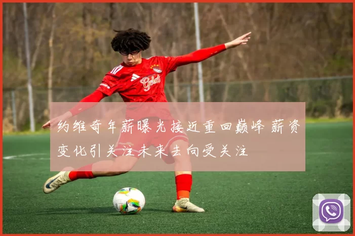 约维奇年薪曝光接近重回巅峰 薪资变化引关注未来去向受关注