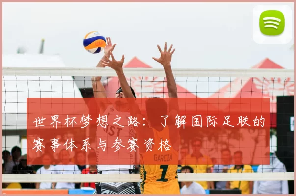 世界杯梦想之路:了解国际足联的赛事体系与参赛资格