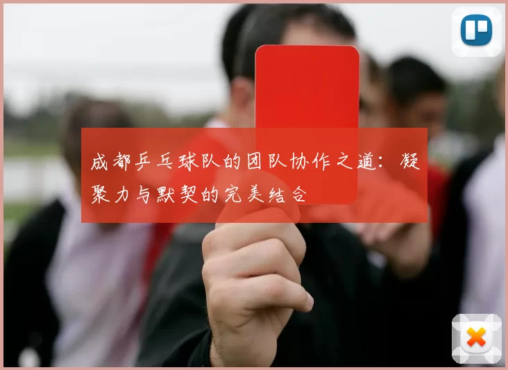 成都乒乓球队的团队协作之道:凝聚力与默契的完美结合