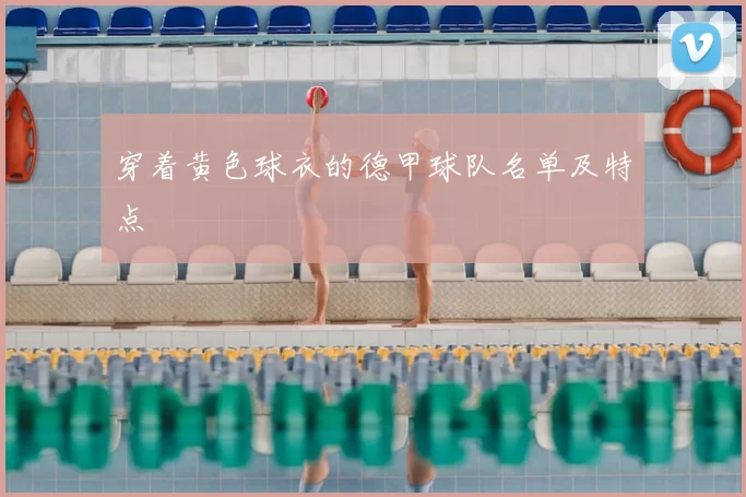 穿着黄色球衣的德甲球队名单及特点