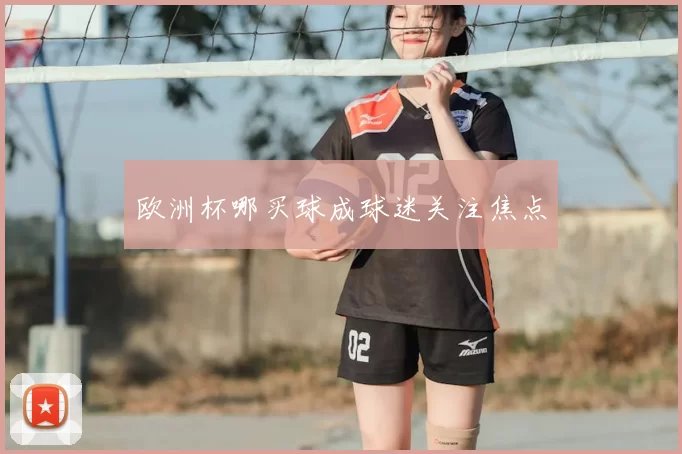 欧洲杯哪买球成球迷关注焦点