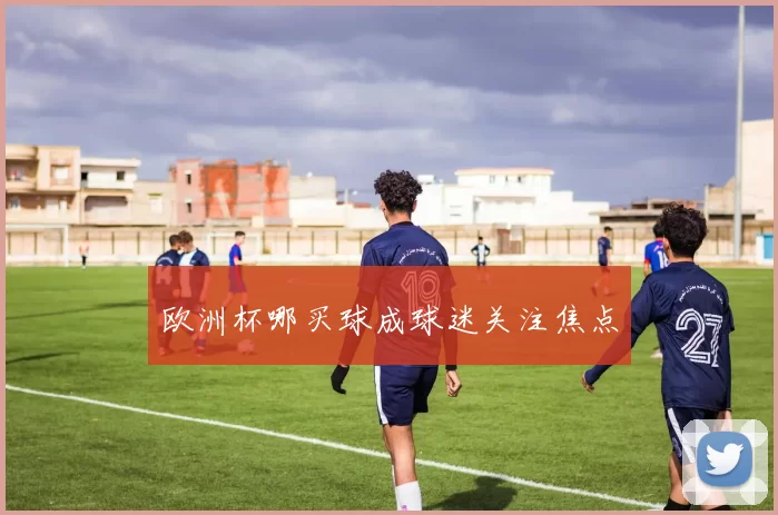 欧洲杯哪买球成球迷关注焦点