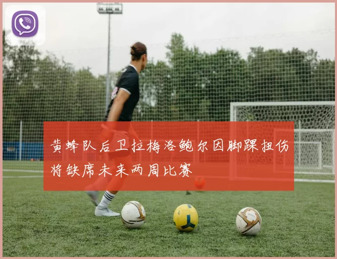 黄蜂队后卫拉梅洛鲍尔因脚踝扭伤将缺席未来两周比赛