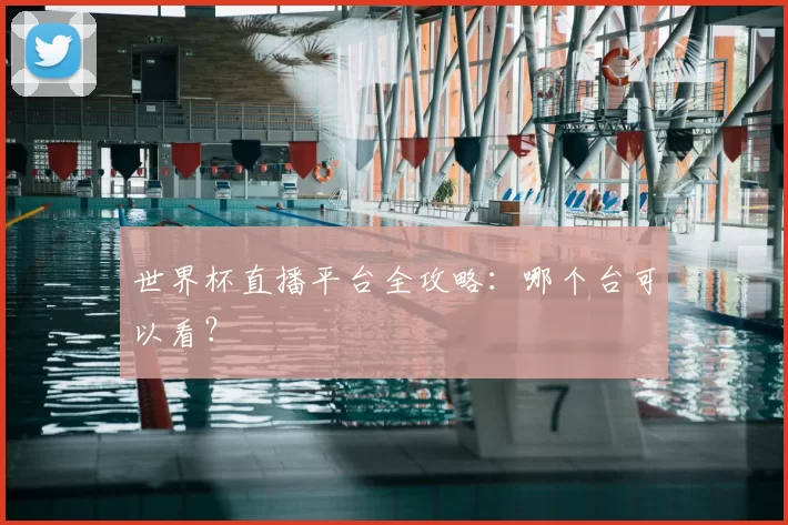 世界杯直播平台全攻略:哪个台可以看?